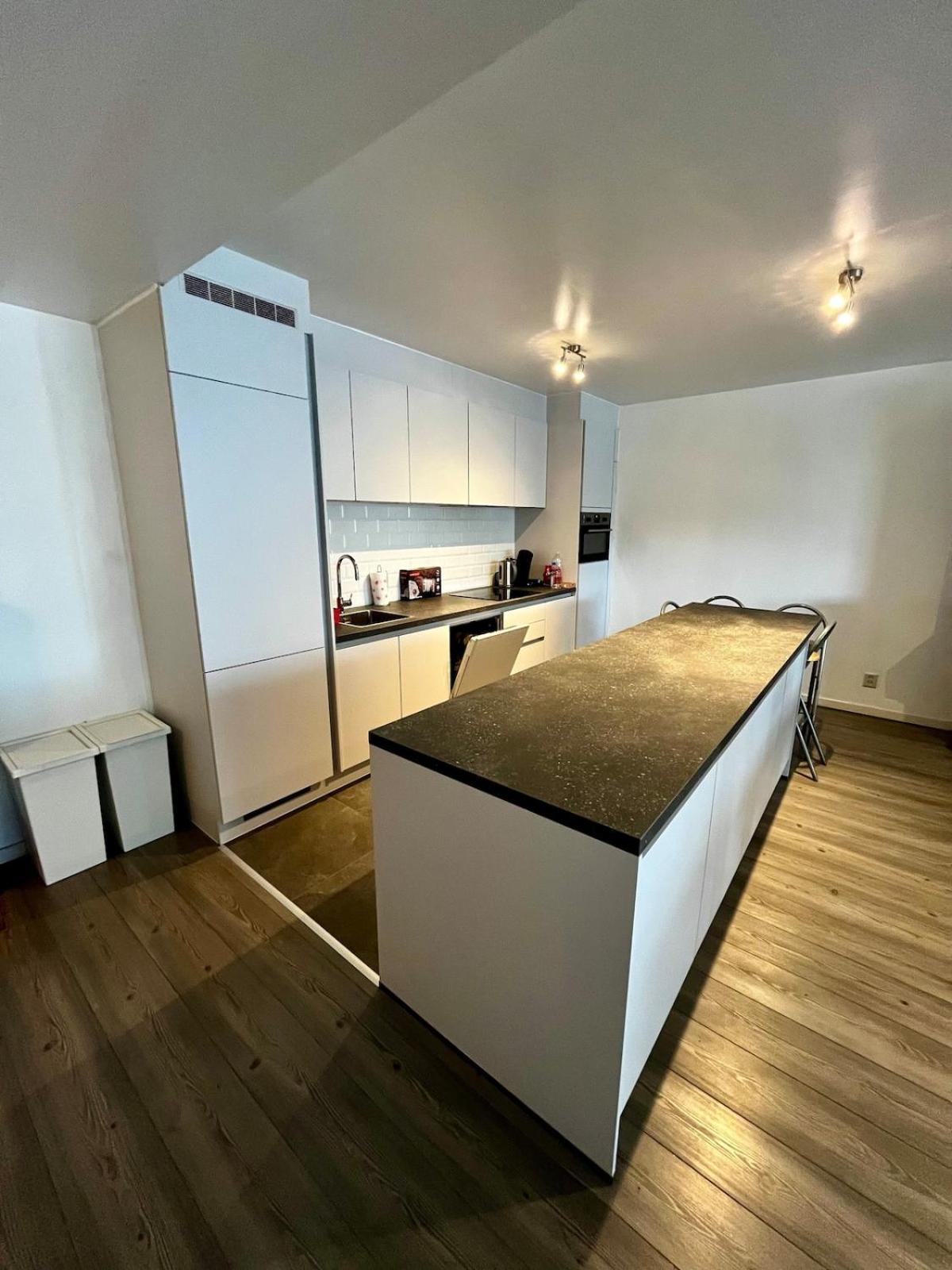 Big Apartment With Parking In Antwerpen Kültér fotó